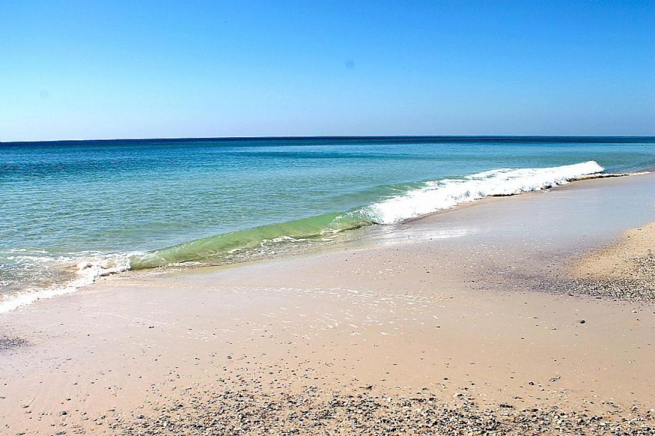 Phoenix East 707 Hotel Orange Beach Zewnętrze zdjęcie